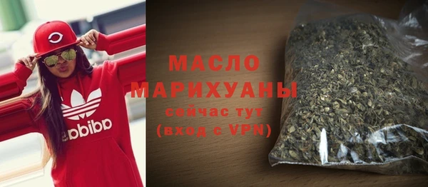 СК Дедовск