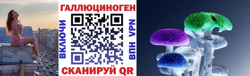 маркетплейс клад  Нея  Псилоцибиновые грибы ЛСД 